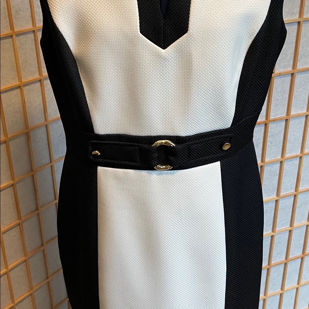 Color lock sheath dress